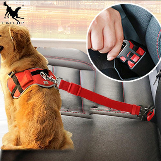 Dog car seat belt